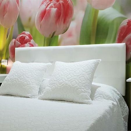 Home Sweet Home อาโรนา ภายนอก รูปภาพ